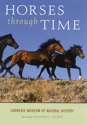 Horses through Time Horses through Time