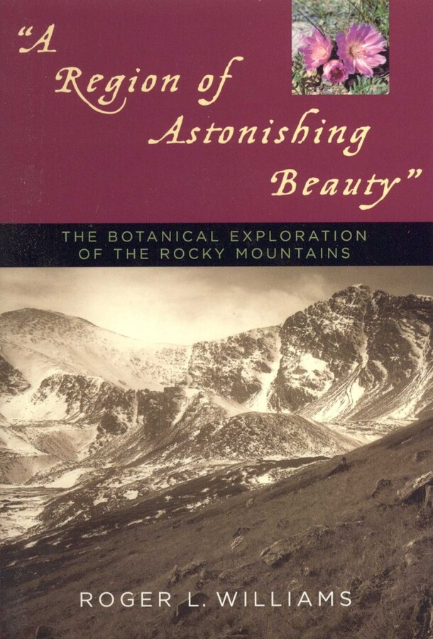 Region of Astonishing Beauty