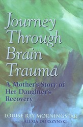 Journey Through Brain Trauma