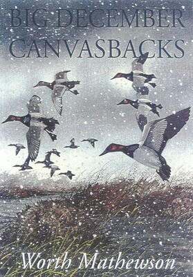 Big December Canvasbacks, Revised Big December Canvasbacks, Revised