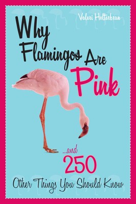 Why Flamingos Are Pink Why Flamingos Are Pink