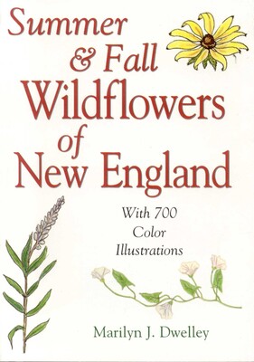 Summer & Fall Wildflowers of New England Summer & Fall Wildflowers of New England