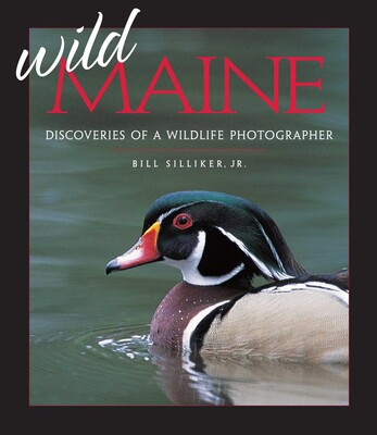 Wild Maine Wild Maine