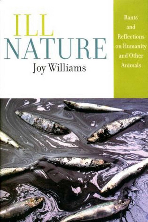 Ill Nature