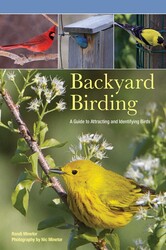 Backyard Birding Backyard Birding