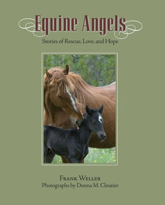 Equine Angels Equine Angels