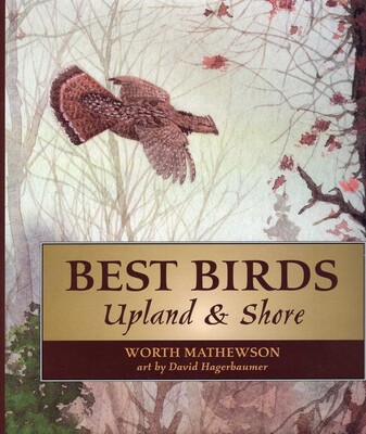 Best Birds Upland and Shore Best Birds Upland and Shore
