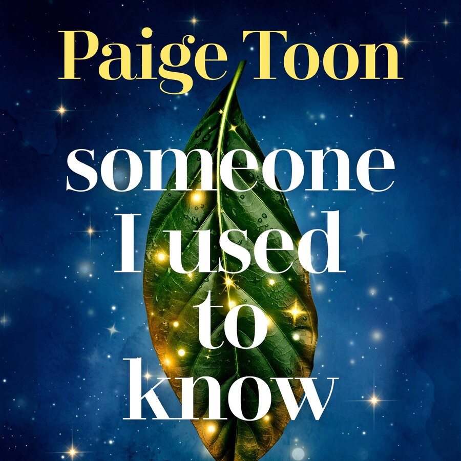Someone I Used to Know