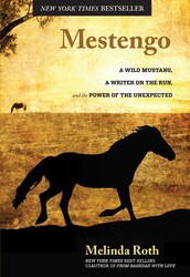 Mestengo Mestengo