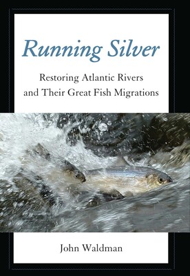 Running Silver Running Silver