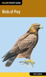 Birds of Prey Birds of Prey