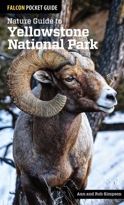 Nature Guide to Yellowstone National Park Nature Guide to Yellowstone National Park