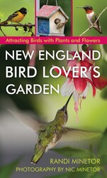 New England Bird Lover's Garden New England Bird Lover's Garden