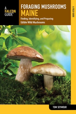 Foraging Mushrooms Maine Foraging Mushrooms Maine