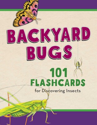 Backyard Bugs Backyard Bugs