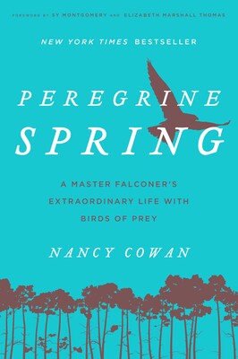 Peregrine Spring Peregrine Spring