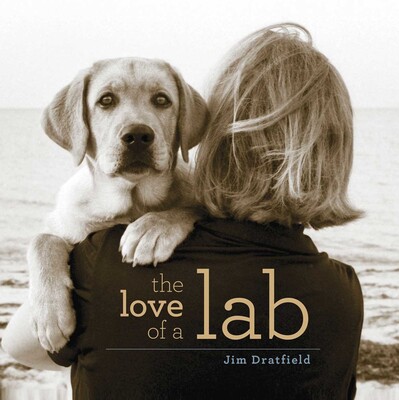 Love of a Lab Love of a Lab