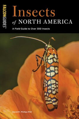Insects of North America Insects of North America