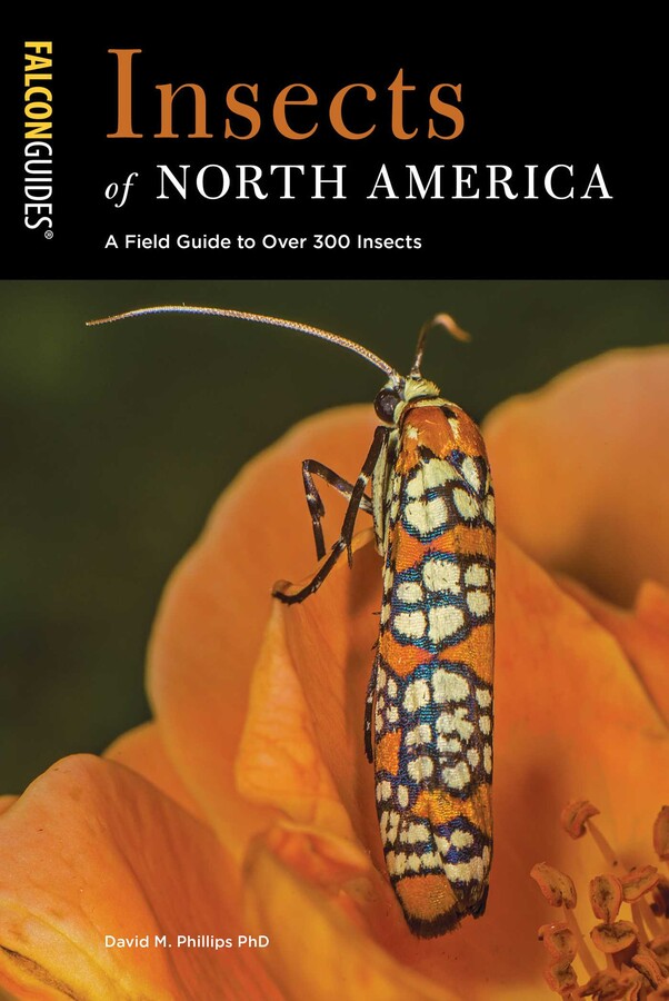 Insects of North America eBook by David M. Phillips | Official ...