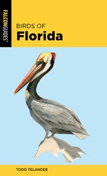 Birds of Florida Birds of Florida