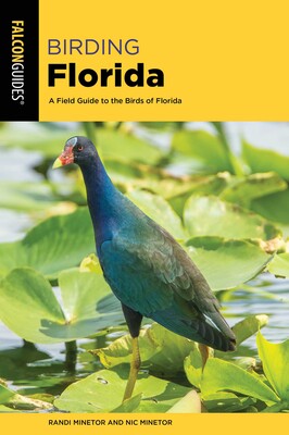 Birding Florida Birding Florida