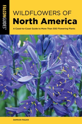 Wildflowers of North America Wildflowers of North America