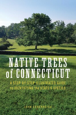 Native Trees of Connecticut Native Trees of Connecticut