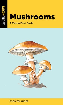 Mushrooms Mushrooms