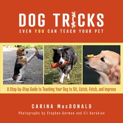 Dog Tricks Even You Can Teach Your Pet Dog Tricks Even You Can Teach Your Pet