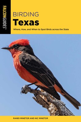 Birding Texas Birding Texas