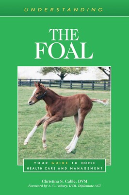 Understanding the Foal Understanding the Foal