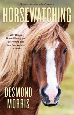 Horsewatching Horsewatching
