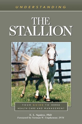Understanding the Stallion Understanding the Stallion