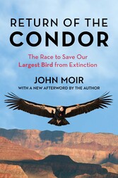 Return of the Condor