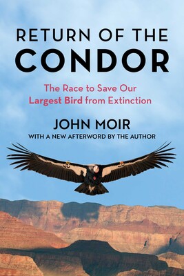 Return of the Condor Return of the Condor