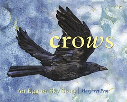 Crows Crows