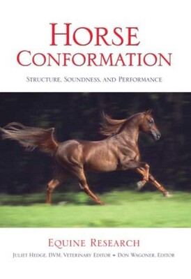 Horse Conformation Horse Conformation