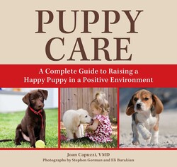 Puppy Care Puppy Care