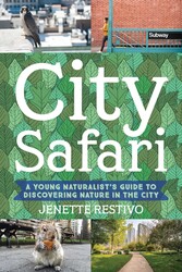 City Safari City Safari