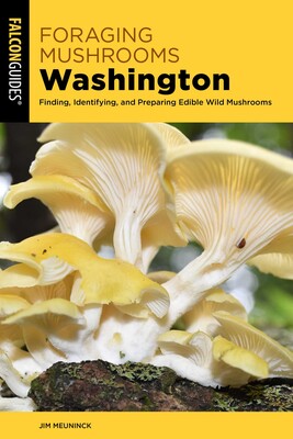Foraging Mushrooms Washington Foraging Mushrooms Washington