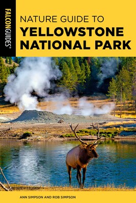 Nature Guide to Yellowstone National Park Nature Guide to Yellowstone National Park
