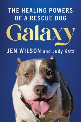 Galaxy Galaxy