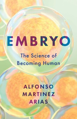 Embryo Embryo