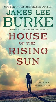 The sun is also a star book summary