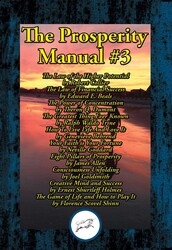 The Prosperity Manual #3