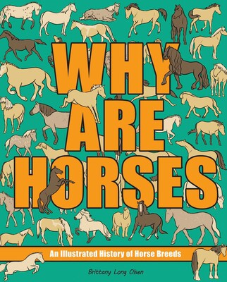 Why Are Horses Why Are Horses