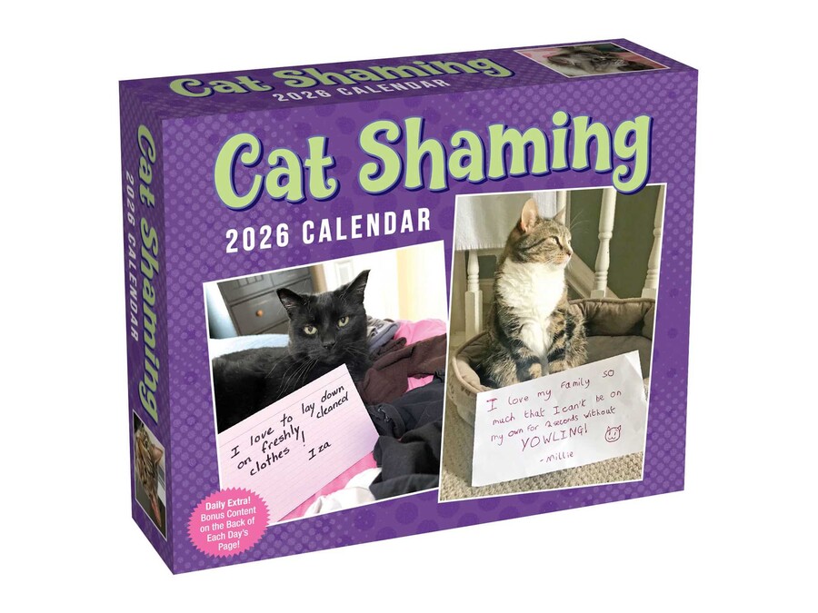 Cat Shaming 2026 DaytoDay Calendar Book Summary & Video Official