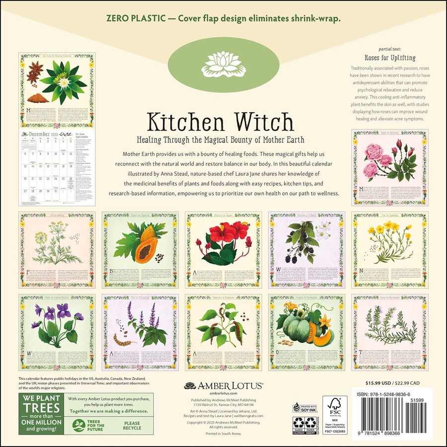 Kitchen Witch 2026 Wall Calendar - Book Summary & Video | Official ...