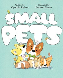 Small Pets Small Pets