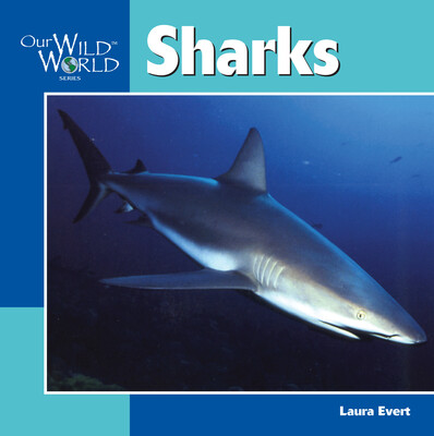Sharks Sharks
